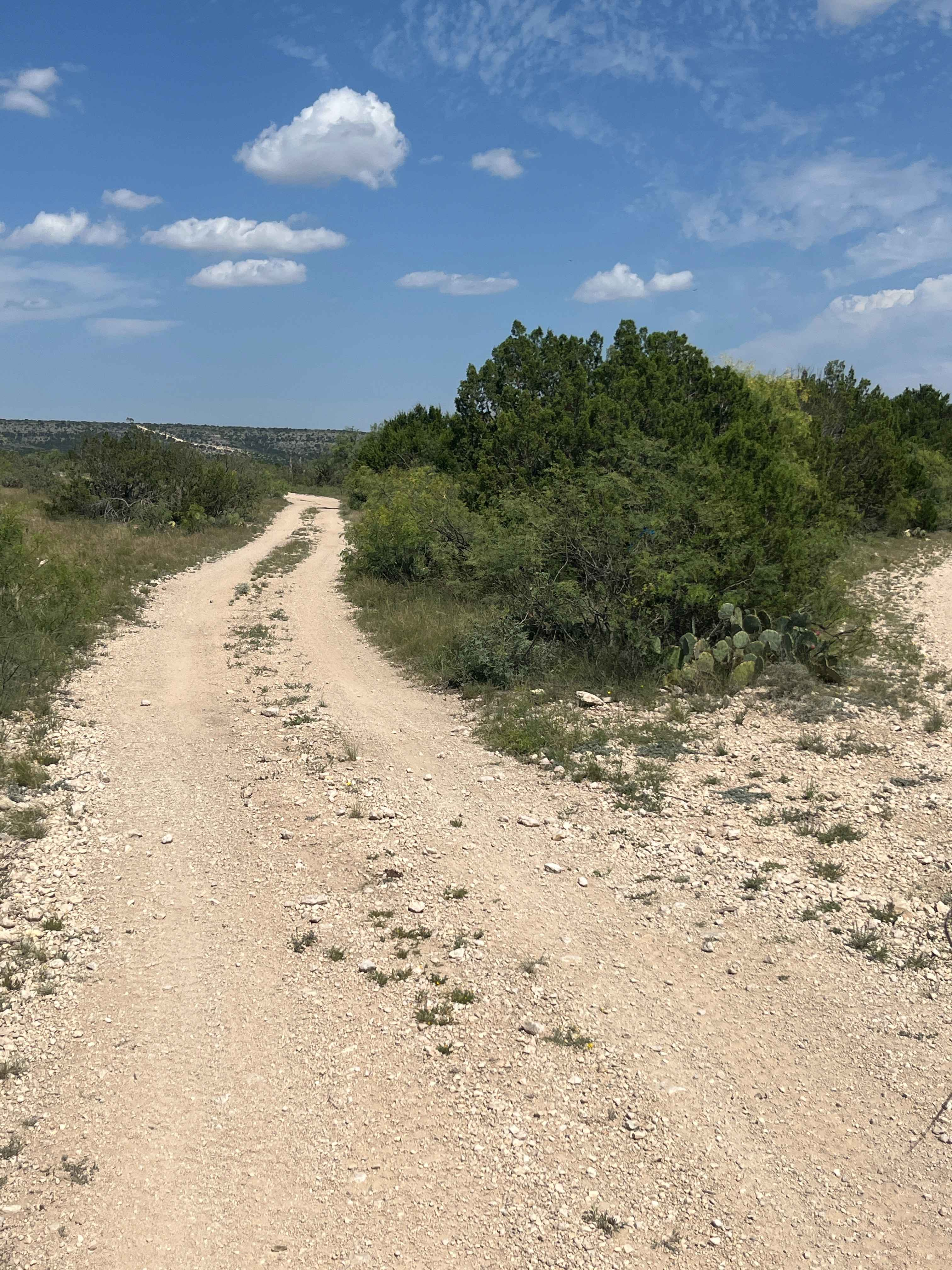Southwest Texas Landscape